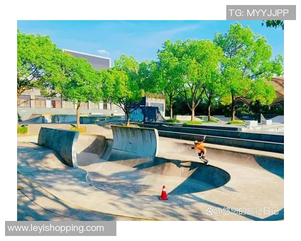 重庆滑板队的团队协作与滑板文化的融合探讨