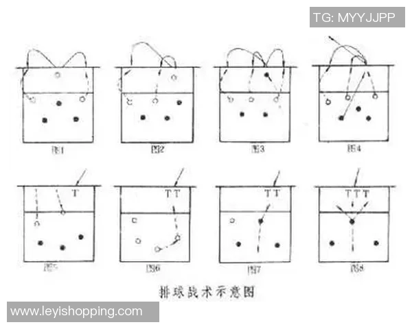 排球新手必看:快速掌握基本技巧与战术的全面指南 排球新手必看:快速掌握基本技巧与战术的全面指南